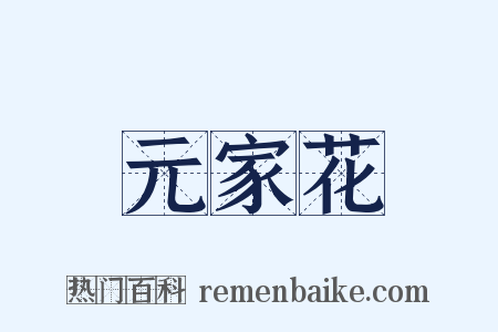 元家花是什么意思的图片
